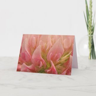 Pink Clover Valentines Day Cards