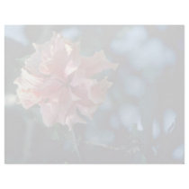 Pink Cluster Flower flowers Custom Letterhead
