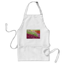 Pink Coleus and pampas grass, Niagara Parks, Ontar Aprons