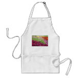 Pink Coleus and pampas grass, Niagara Parks, Ontar aprons