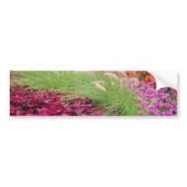 Pink Coleus and pampas grass, Niagara Parks, Ontar Bumper Stickers