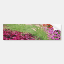 Pink Coleus and pampas grass, Niagara Parks, Ontar Bumper Sticker