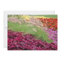 Pink Coleus and pampas grass, Niagara Parks, Ontar Personalized Invites
