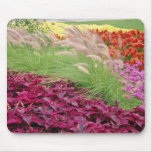 Pink Coleus and pampas grass, Niagara Parks, Ontar mousepads