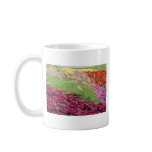 Pink Coleus and pampas grass, Niagara Parks, Ontar mugs
