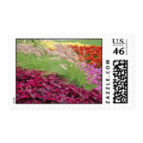Pink Coleus and pampas grass, Niagara Parks, Ontar Postage