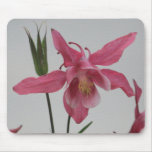 Pink Columbine Mousepad