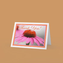 Pink Cone Flower cards
