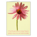 Pink Cone Flower If that flower starts to fade cards