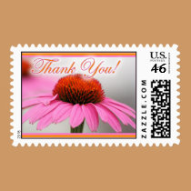 Pink Cone Flower postage