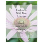 Pink Coneflower - Echinacea Purpurea Flyers