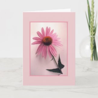 Pink Coneflower Greeting Card card