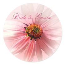 Pink ConeFlower Sticker