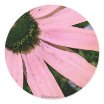 Pink Coneflower Wedding Envelope Seal stickers