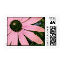 Pink Coneflower Wedding Postage postage