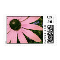 Pink Coneflower Wedding Postage postage by naturalilly Pink Coneflower Wedding Postage postage