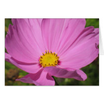 Pink Cosmo cards by ggbythebay Pink Cosmo cards