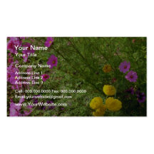 Pink Cosmos And Yellow Mums flowers Business Card Templates