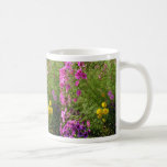 Pink Cosmos And Yellow Mums flowers Coffee Mug