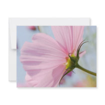 Pink Cosmos • Card / Invitation by SabineSt Pink Cosmos • Card / Invitation