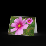 Pink Cosmos Floral Photography Blank Card