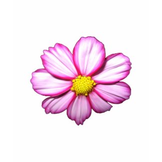 Pink Cosmos Flower