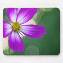 pink cosmos glow Mousepad mousepads