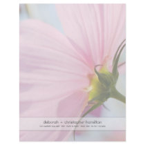 Pink Cosmos • Letterhead