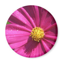 Pink Cosmos magnets by Aleejack Pink Cosmos magnets