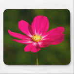 Pink Cosmos mousepads