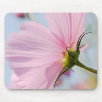 Pink Cosmos • Mousepad