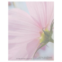 Pink Cosmos • Personalized Letterhead by SabineSt Pink Cosmos • Personalized Letterhead