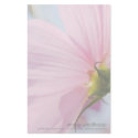 Pink Cosmos • Personalized Stationery