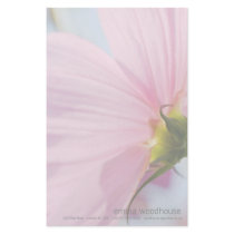 Pink Cosmos • Personalized Stationery