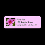 Pink Cosmos Return Address Label