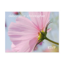Pink Cosmos • RSVP Postcard