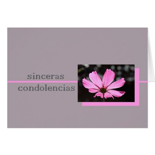 Pink Cosmos Spanish Sympathy Card Zazzle Pink Cosmos Spanish Sympathy Card Zazzle