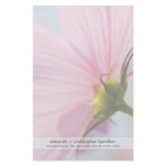 Pink Cosmos • Stationery by SabineStGreetings Pink Cosmos • Stationery
