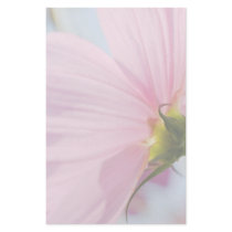 Pink Cosmos • Stationery by SabineSt Pink Cosmos • Stationery
