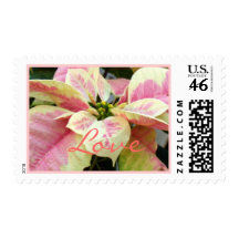 Pink Cream Poinsettia Postage