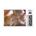 Pink & cream rose wedding postage postage by dphleger Pink & cream rose wedding postage postage