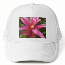 Pink Croton hats by Debrene Pink Croton hats