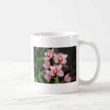 Pink Cymbidium flowers Mug