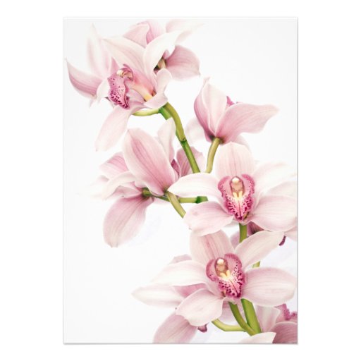 Pink Cymbidium Orchid First Communion Invitation