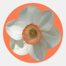 Pink Daffodil Customizable Color Sticker