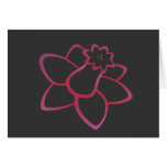 Pink Daffodil Greeting Cards