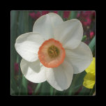 Pink Daffodil Magnet