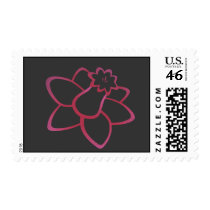 Pink Daffodil Postage Stamp