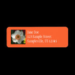 Pink Daffodil Return Address Label