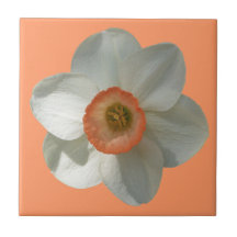 Pink Daffodil Tile